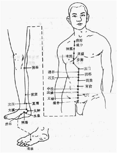 少陰意思|醫砭 » 中華針灸 » 經絡的命名